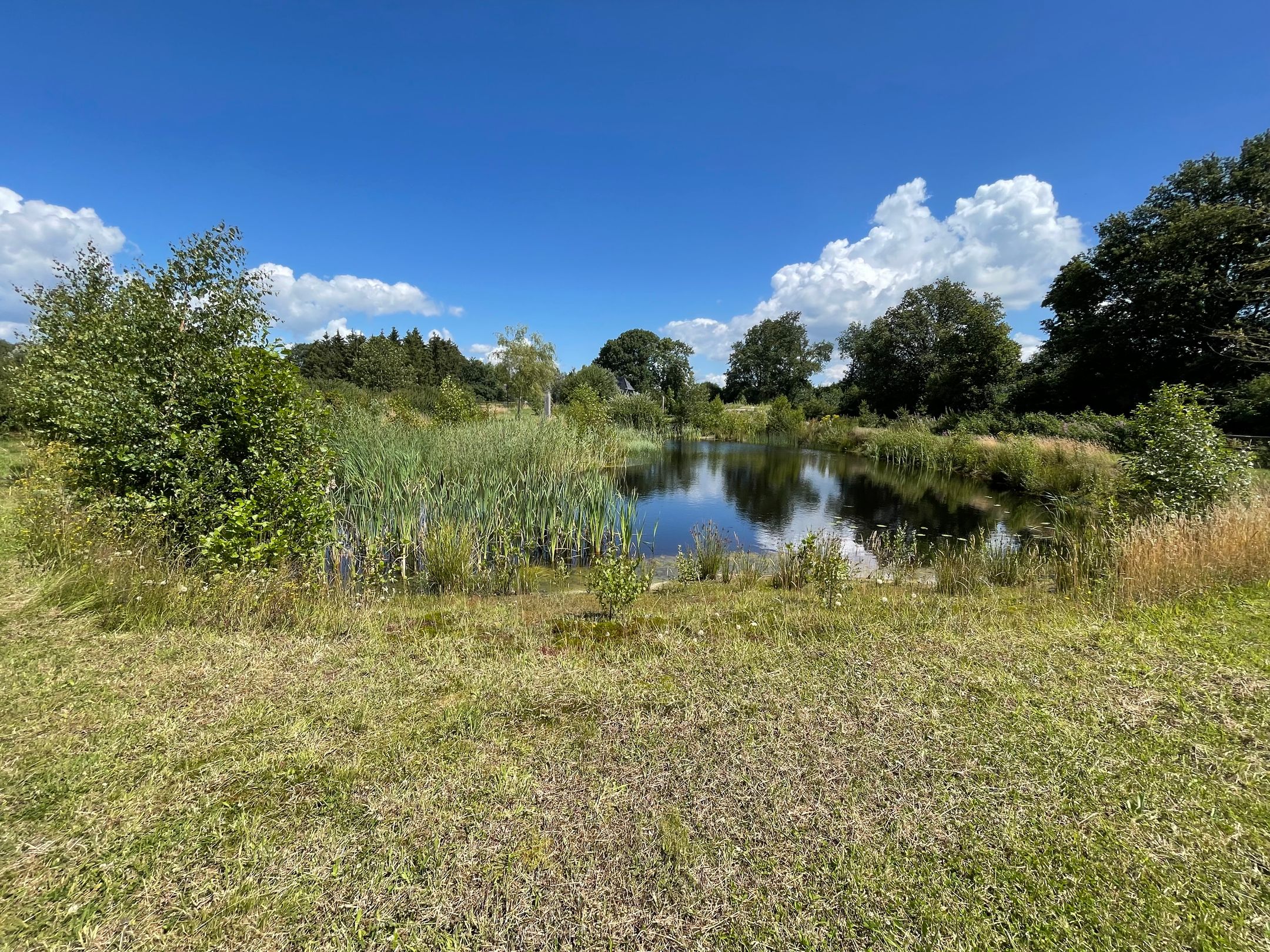 Foto 57 van Noorderstraat 17