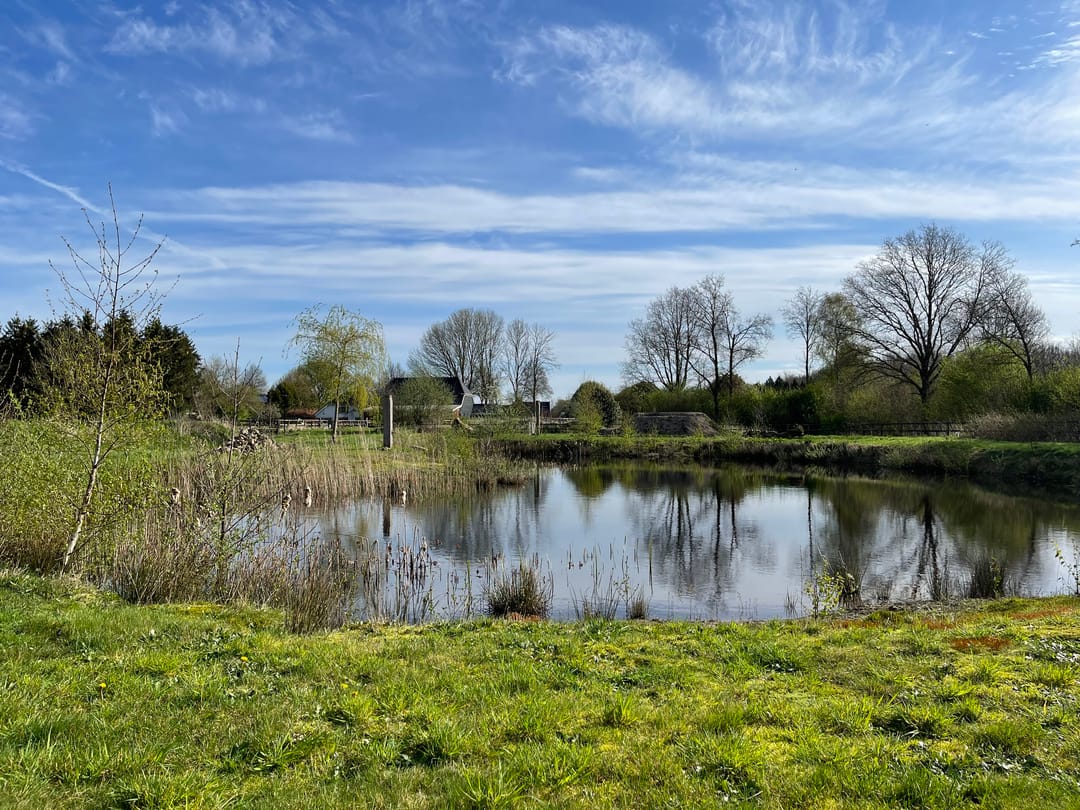 Foto 58 van Noorderstraat 17