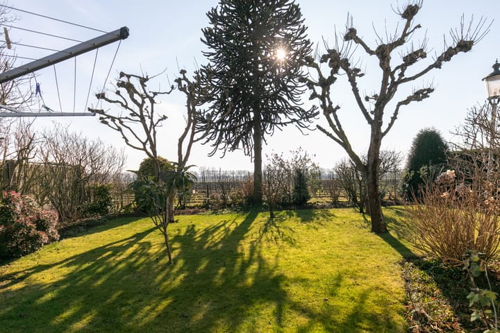 Foto 42 van Esdoornlaan 28