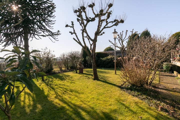 Foto 44 van Esdoornlaan 28