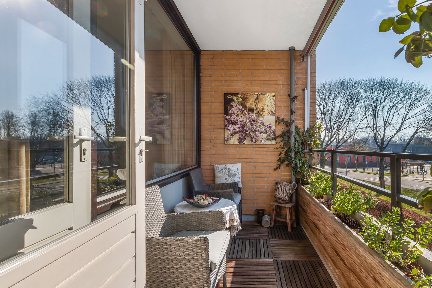 Foto 5 van Campanula 76