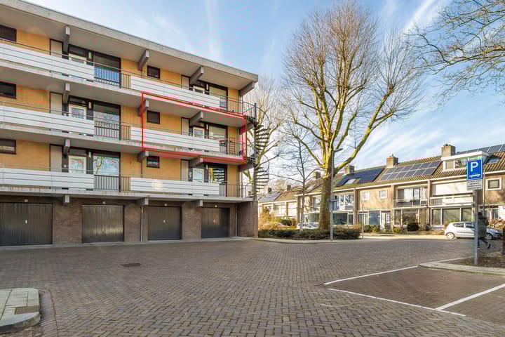 Foto 6 van Campanula 76