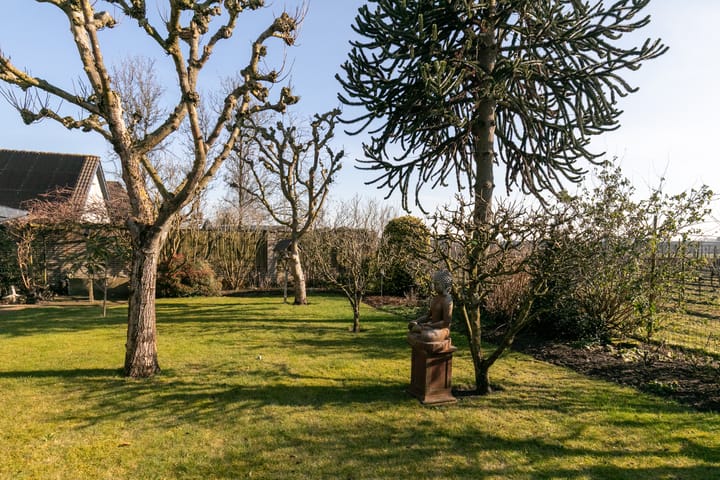 Foto 49 van Esdoornlaan 28