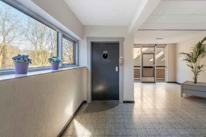 Foto 7 van Campanula 76