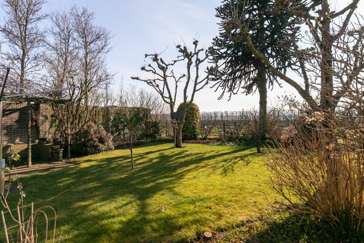 Foto 50 van Esdoornlaan 28