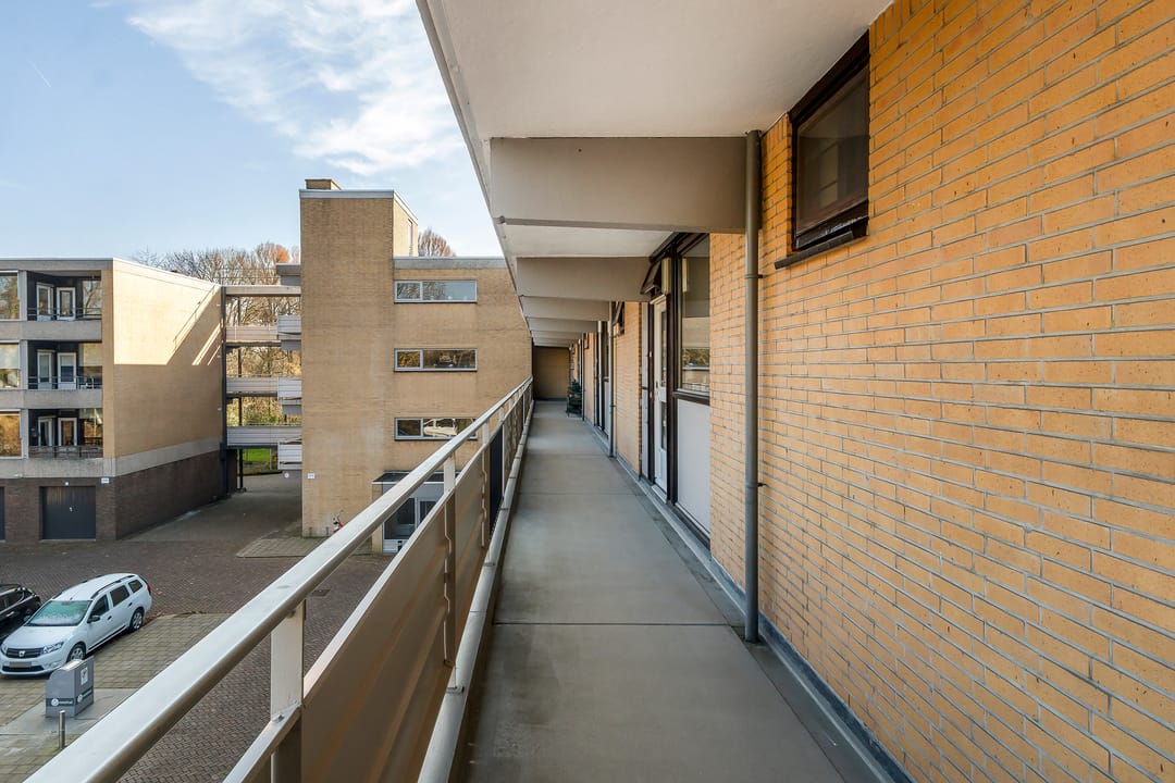 Foto 8 van Campanula 76