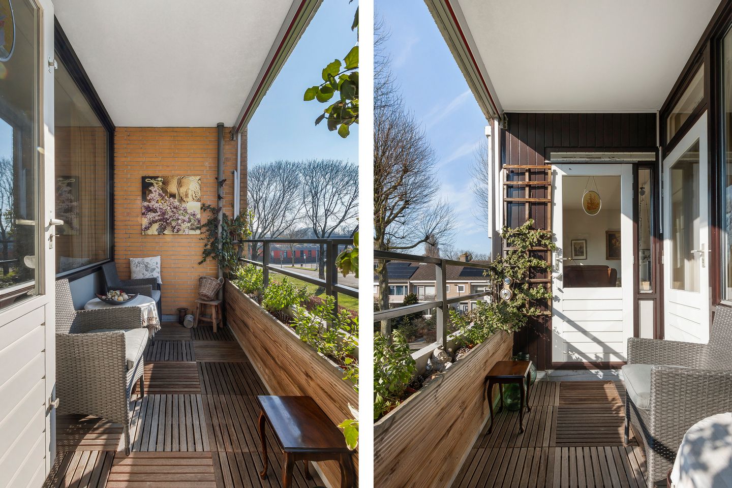 Foto 20 van Campanula 76