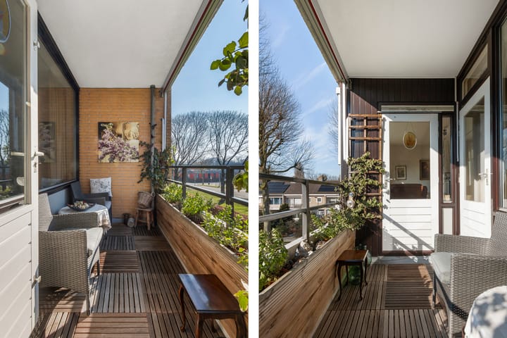 Foto 20 van Campanula 76