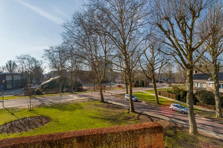 Foto 21 van Campanula 76