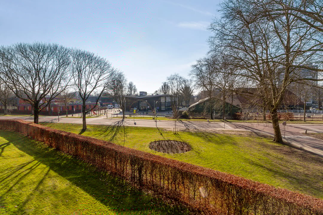 Foto 22 van Campanula 76