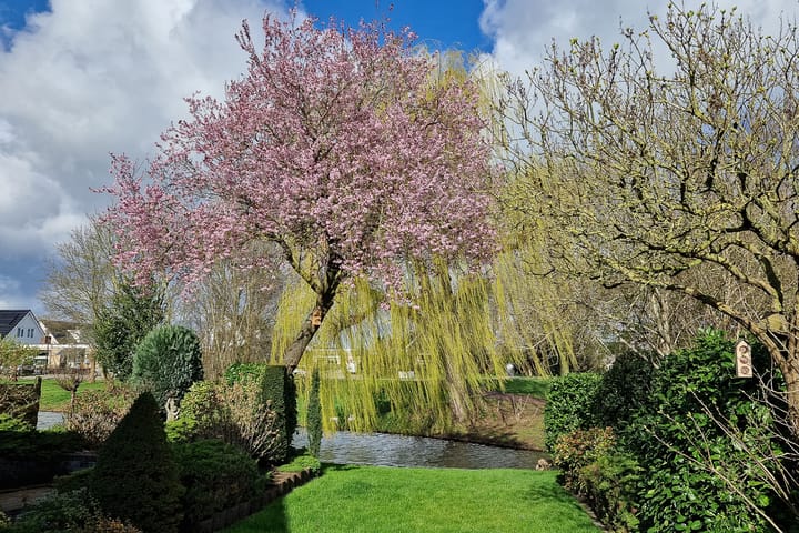 Foto 38 van Dr. Kolfflaan 81