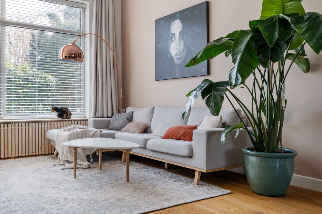 Foto 13 van Werfstraat 9