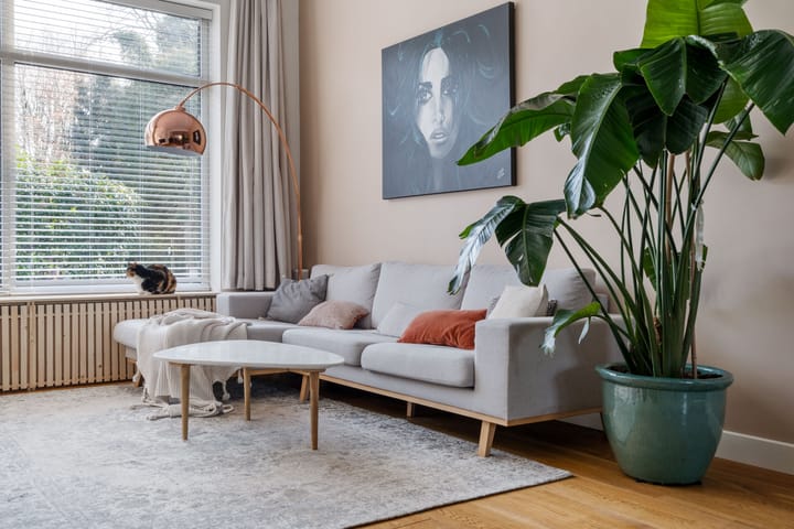 Foto 13 van Werfstraat 9