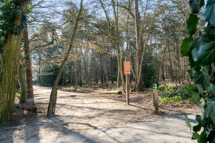 Foto 54 van Werfstraat 9