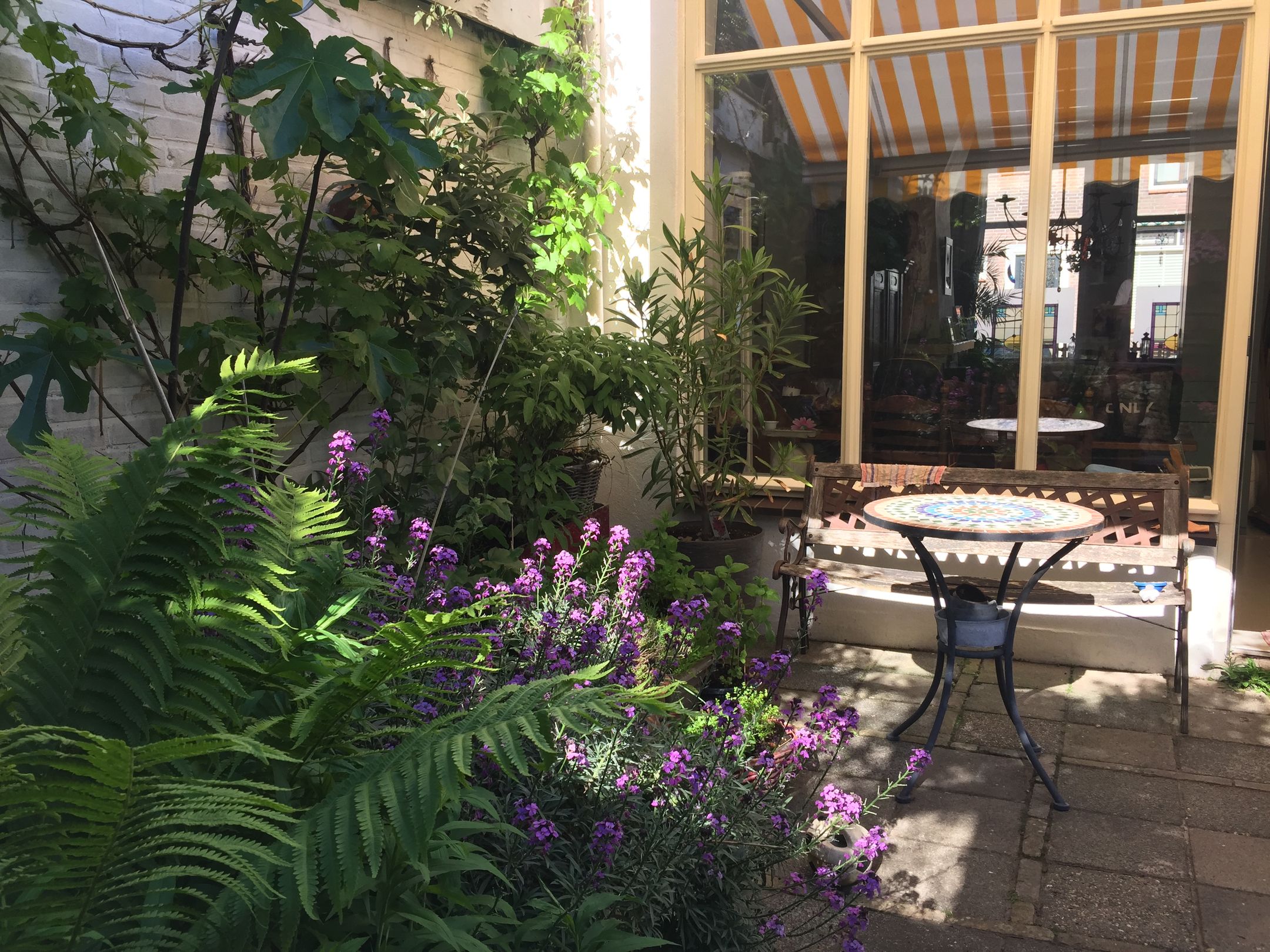 Photo 30 of Havenstraat 56