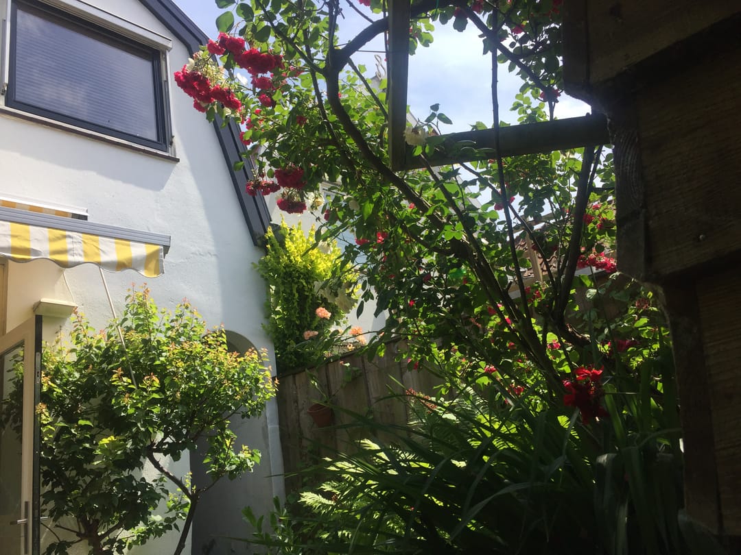 Photo 32 of Havenstraat 56