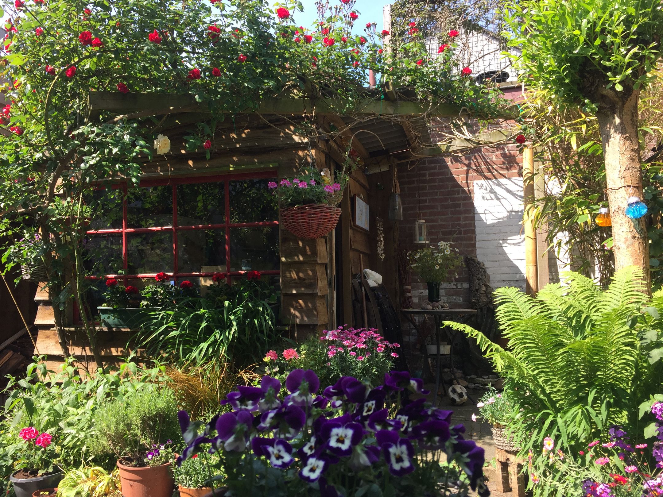 Photo 33 of Havenstraat 56