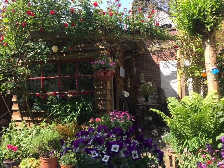 Foto 33 van Havenstraat 56