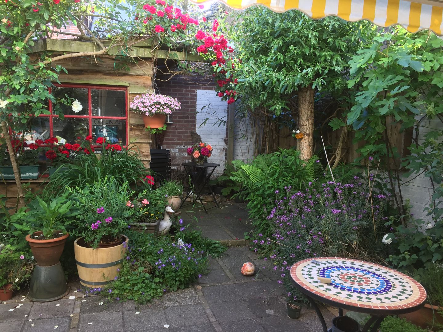 Photo 35 of Havenstraat 56