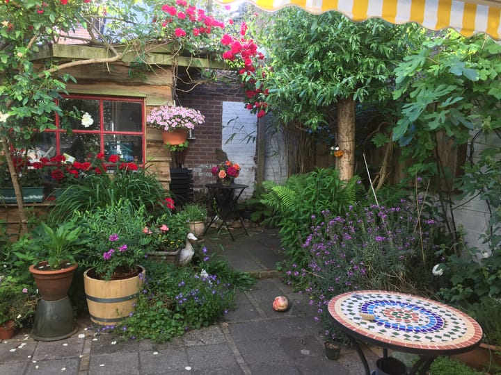 Foto 35 van Havenstraat 56