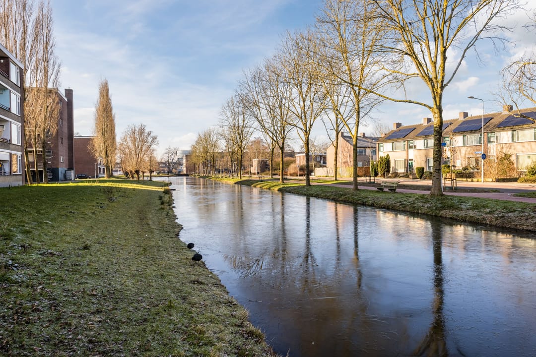 Foto 26 van Staringlaan 172