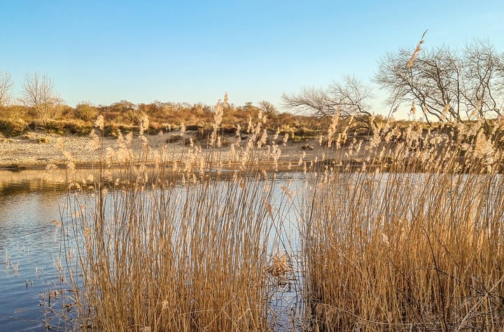 Foto 38 van Frans Zwaanstraat 90