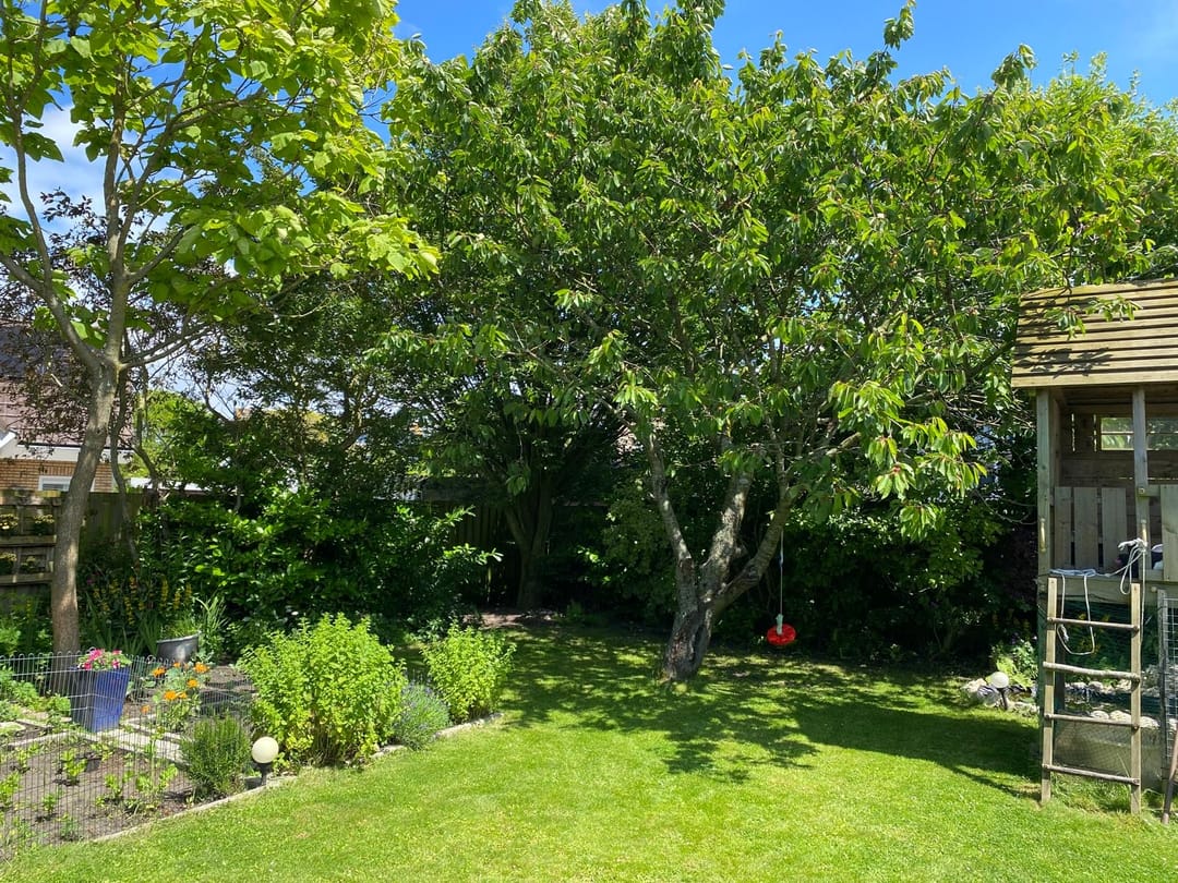 Foto 32 van Anna Blamanlaan 19