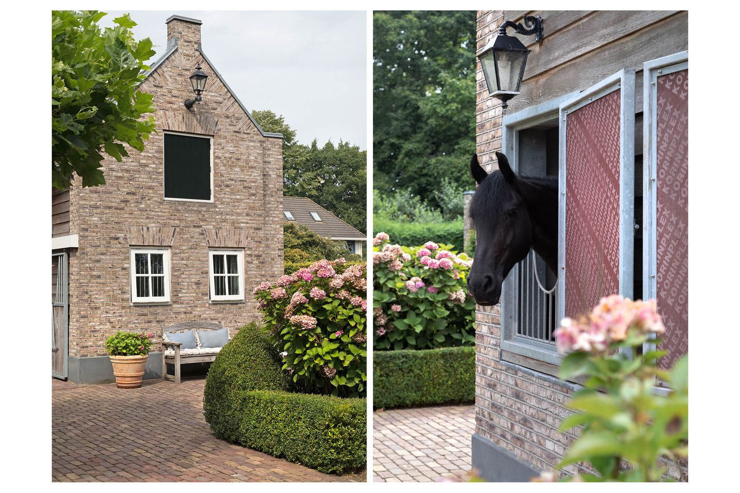 Foto 40 van Nieuwe Weteringseweg 58