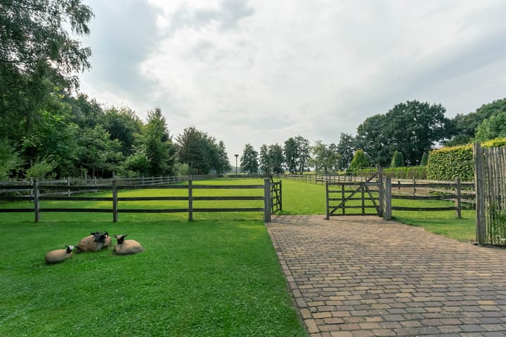 Foto 47 van Nieuwe Weteringseweg 58