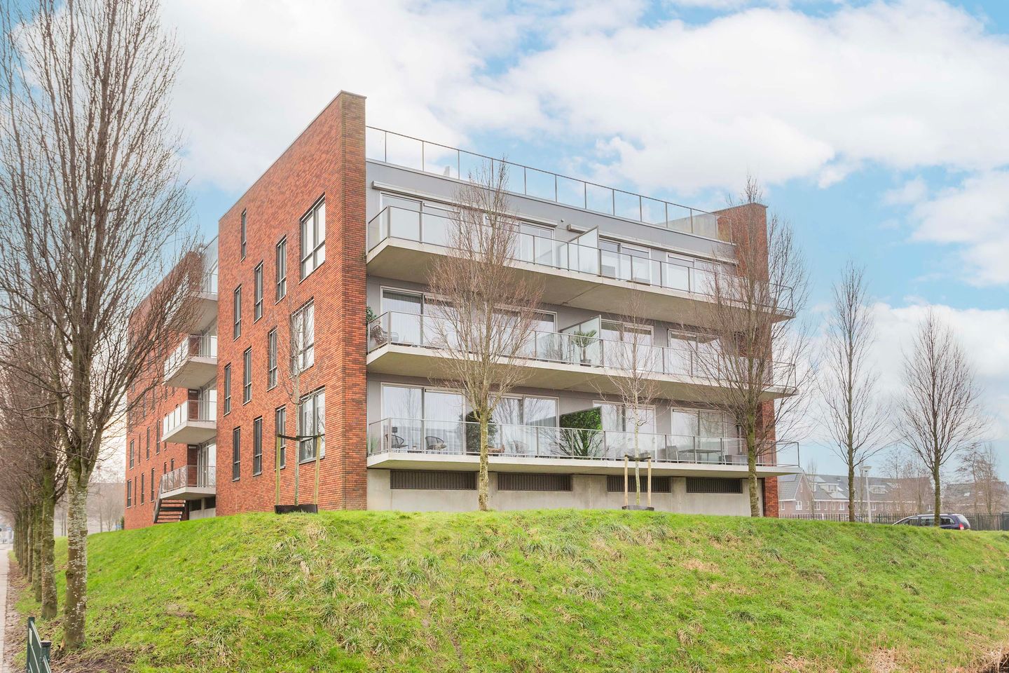 Foto 1 van Moerasvaren 137