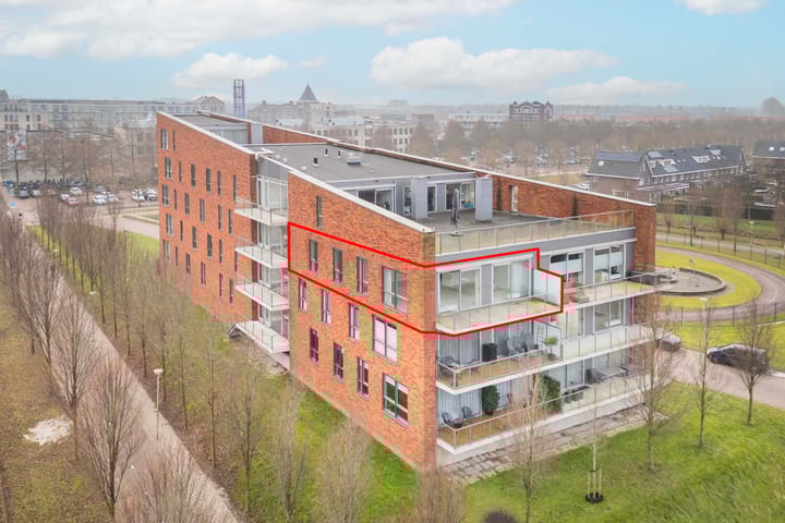 Foto 2 van Moerasvaren 137