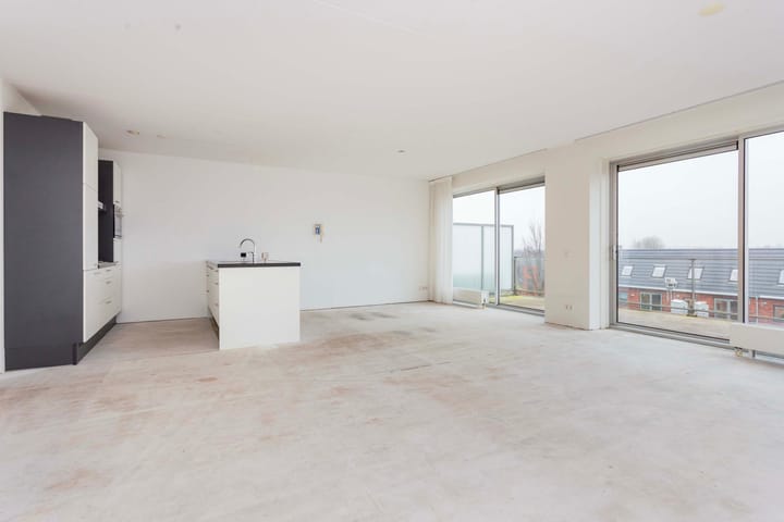 Foto 3 van Moerasvaren 137