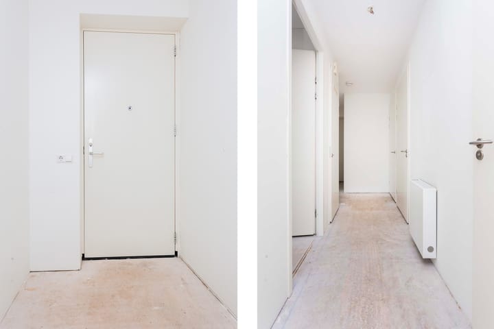 Foto 15 van Moerasvaren 137