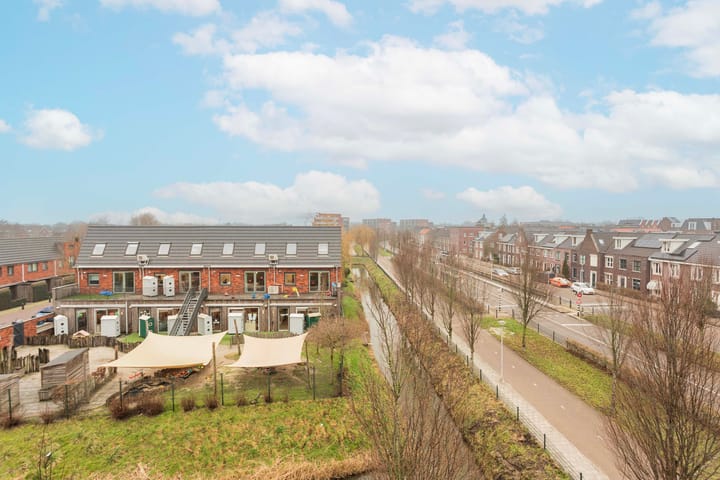 Foto 19 van Moerasvaren 137