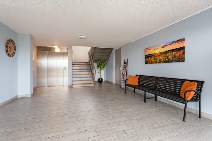 Foto 31 van Moerasvaren 137