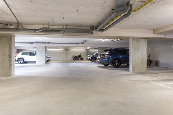 Foto 32 van Moerasvaren 137