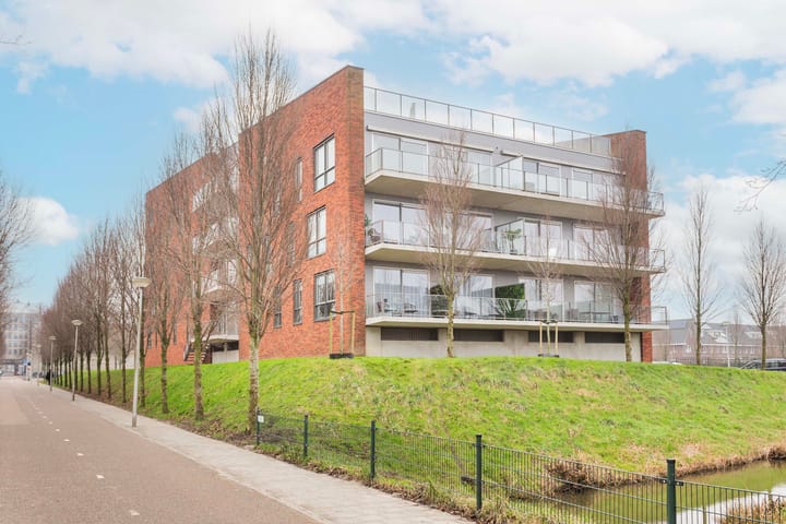 Foto 35 van Moerasvaren 137