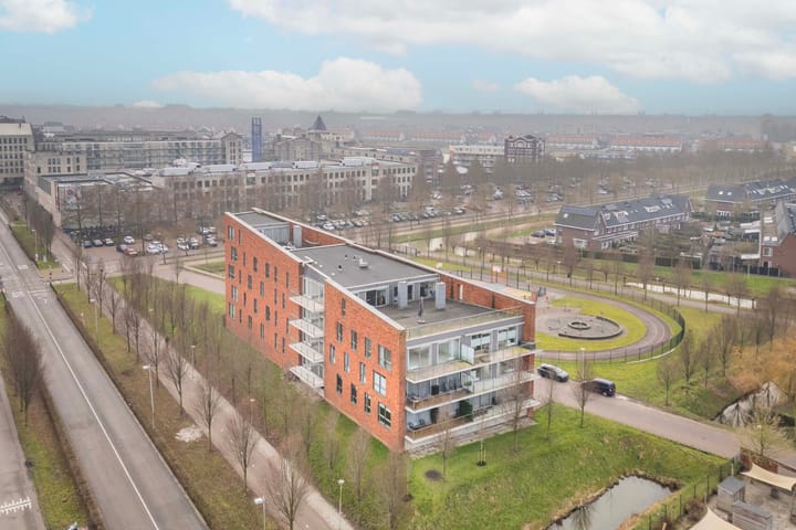 Foto 36 van Moerasvaren 137