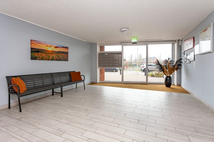 Foto 37 van Moerasvaren 137