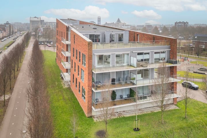 Foto 38 van Moerasvaren 137