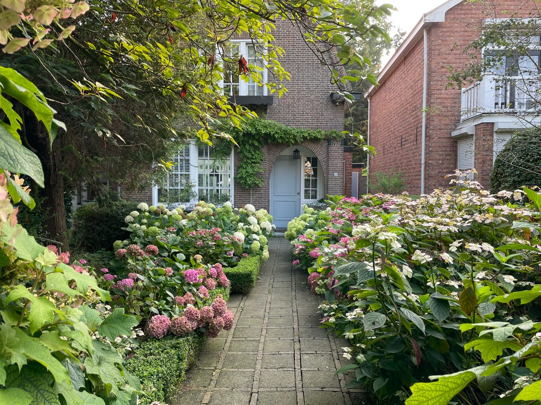 Foto 1 van Axelsestraat 71