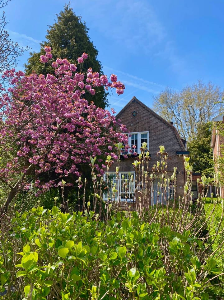 Foto 2 van Axelsestraat 71