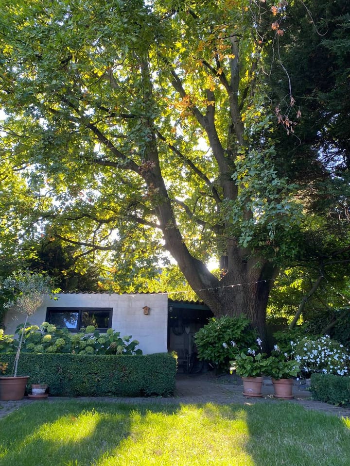 Foto 38 van Axelsestraat 71