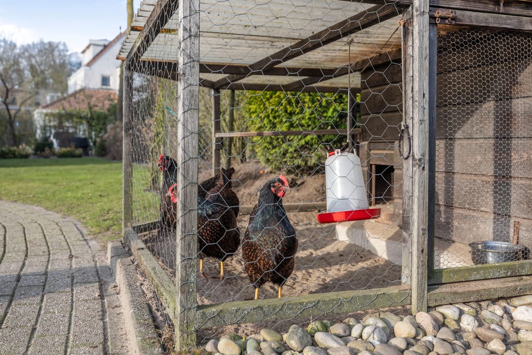 Photo 32 of Keukelenberg 5