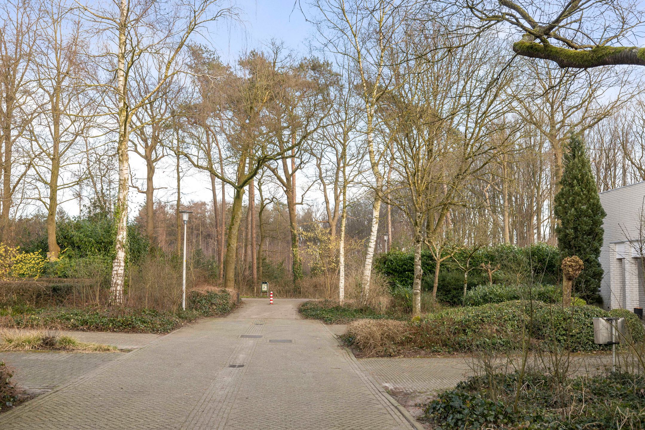 Photo 39 of Keukelenberg 5