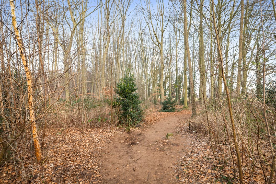 Photo 41 of Keukelenberg 5