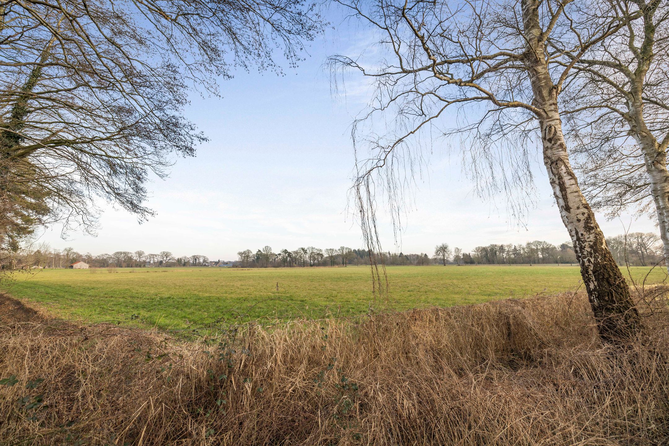 Photo 42 of Keukelenberg 5