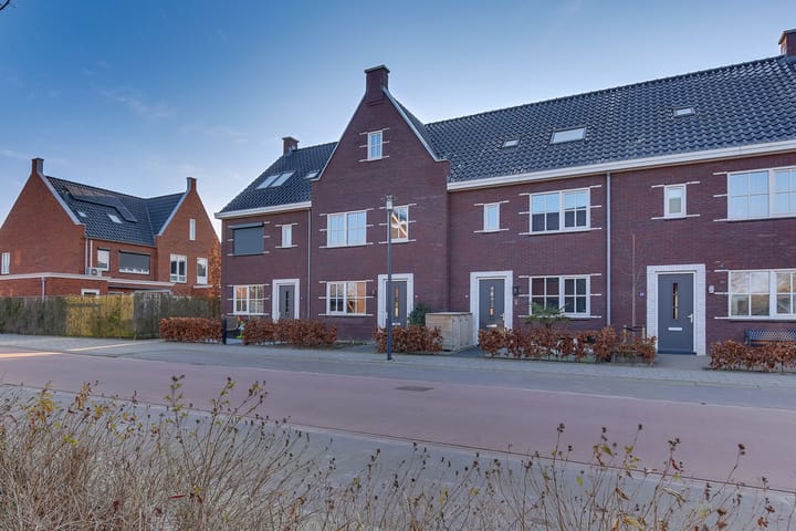 Foto 6 van Koploper 11