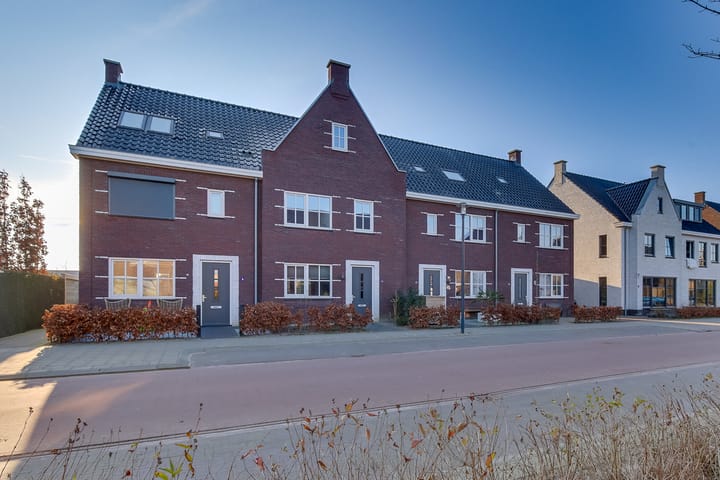 Foto 7 van Koploper 11