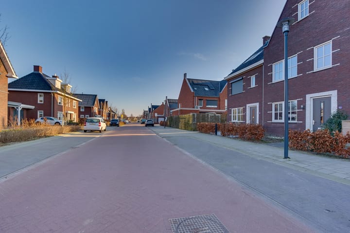 Foto 9 van Koploper 11